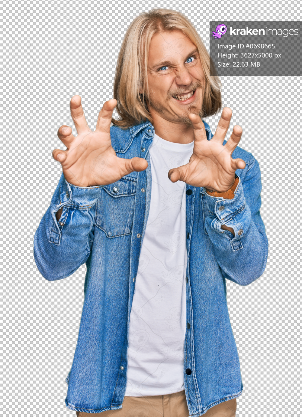 Caucasian man with blond long hair wearing casual denim jacket smiling funny doing claw gesture as cat, aggressive and sexy expression