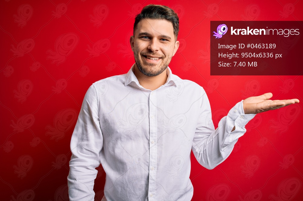 Young business man with blue eyes wearing elegant shirt standing over red isolated background smiling cheerful presenting and pointing with palm of hand looking at the camera.