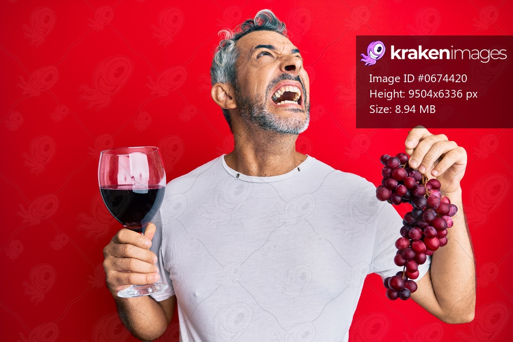 Middle age grey-haired man holding branch of fresh grapes and red wine angry and mad screaming frustrated and furious, shouting with anger looking up. 