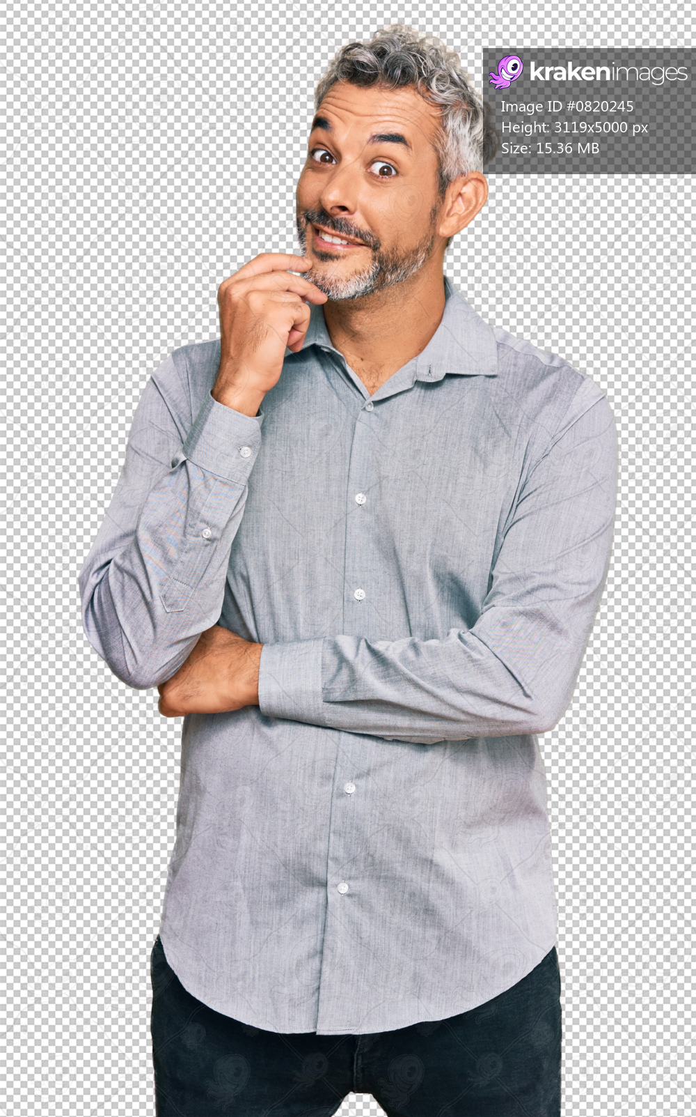 Middle age grey-haired man wearing casual clothes looking confident at the camera with smile with crossed arms and hand raised on chin. thinking positive.