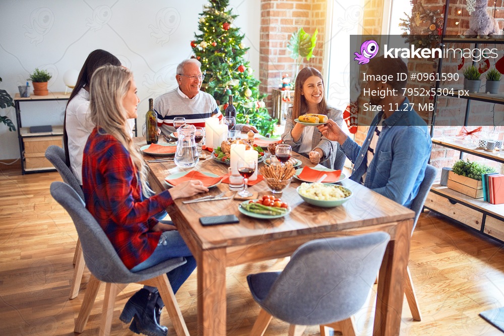 Beautiful family meeting smiling happy and confident. Eating roasted turkey celebrating Christmas at home